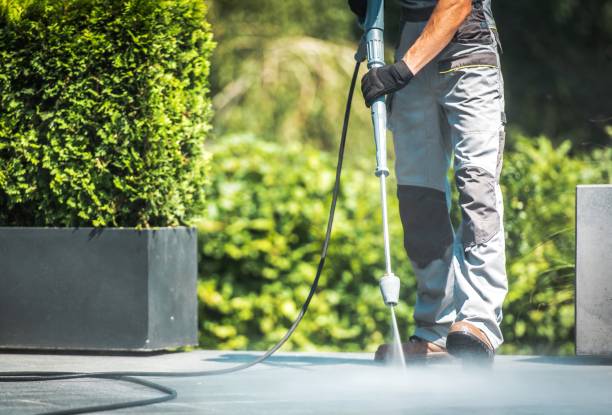 Best Fence Cleaning  in Lakeview, GA