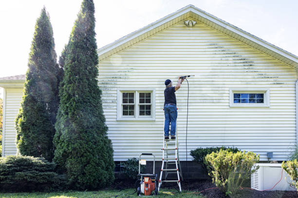 Best Roof Washing  in Lakeview, GA